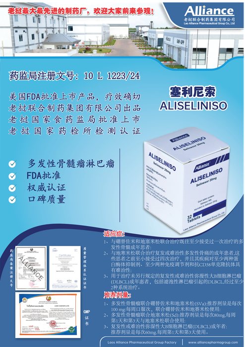 塞利尼索